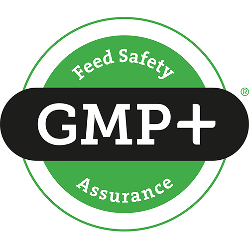 gmpplus